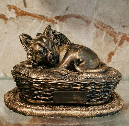 Urna Pet Gato Anjo Bronze